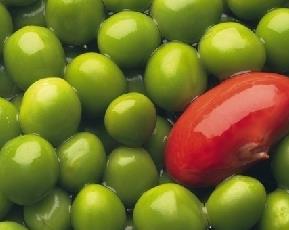 豌豆营养价值和功效作用（豌豆营养价值与功效与作用）