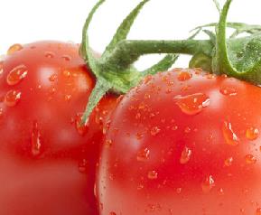 番茄红素胶囊的副作用 番茄红素胶囊有副作用吗