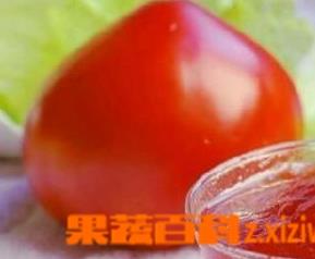 番茄酱营养价值 番茄酱营养价值表