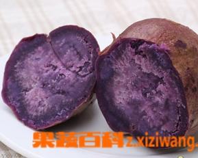 紫薯的营养价值和吃法 紫薯怎么吃最有营养价值