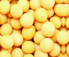 黄豆的营养价值 黄豆的营养价值及功效与作用