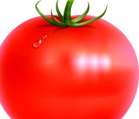番茄可以美白,祛斑和搞衰老 番茄祛斑有效果吗