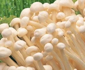 金针菇的营养价值是什么 金针菇的营养价值有哪些