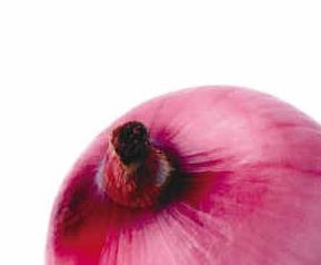 紫洋葱的营养价值和营养成分 紫色洋葱的营养价值