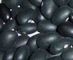 黑芸豆营养价值和药用价值（黑花芸豆的营养价值和功效）