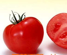 有效DIY番茄美容法 自己做番茄