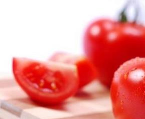 番茄的栽种技术,番茄如何栽培（番茄的栽种技术,番茄如何栽培）