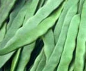 扁豆荚的营养价值 扁豆荚的营养价值和功效