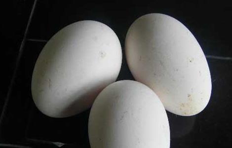 孕妇能吃鹅蛋吗?孕妇吃鹅蛋有什么好处？