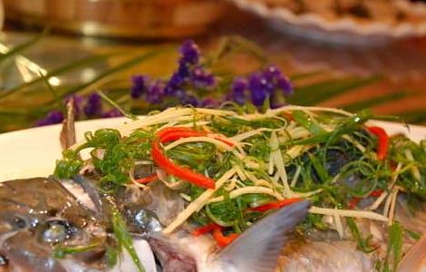 石斑鱼的营养价值 海参石斑鱼的营养价值