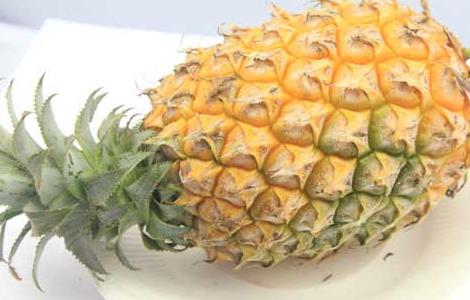 孕妇可以吃菠萝吗