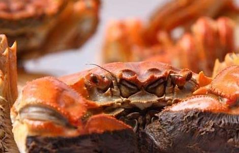 死螃蟹能吃吗