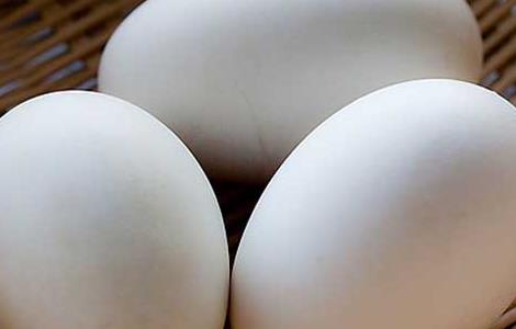 孕妇吃鹅蛋的好处 孕妇吃鹅蛋的好处鹅蛋的功效与作用