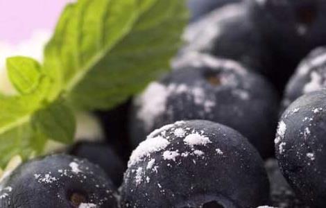 蓝莓的营养价值 冻干蓝莓的营养价值