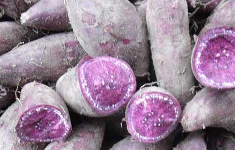 紫薯的营养价值（紫薯的营养价值和红薯一样吗）