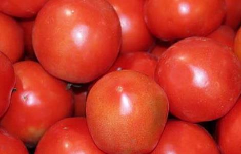 番茄面膜的做法 番茄汁面膜的做法大全