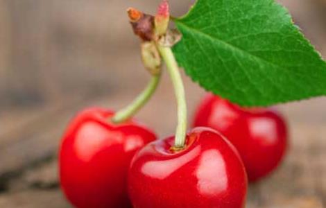 糖尿病人能吃樱桃吗