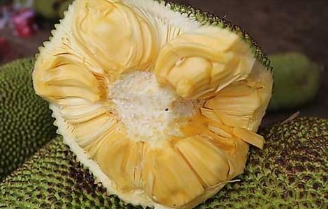 菠萝蜜怎么保存