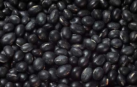 黑豆的营养价值 黑豆的营养价值及功效与作用