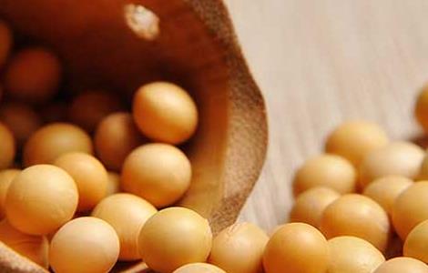 大豆卵磷脂的功效与作用 大豆卵磷脂的功效与作用及副作用