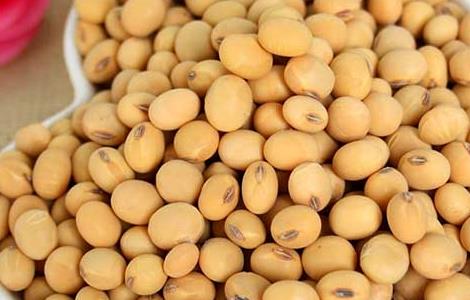 大豆卵磷脂的功效与作用