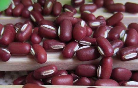 孕妇可以吃赤小豆吗 孕妇可以吃赤小豆吗早期