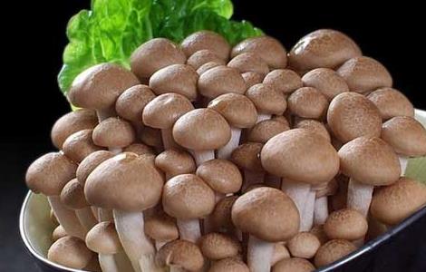 蟹味菇的营养价值 蟹味菇的营养价值表
