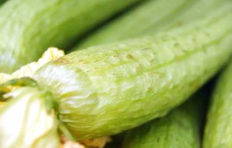 吃丝瓜可以减肥吗