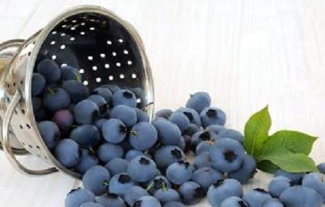 吃蓝莓有什么好处 老年人吃蓝莓有什么好处