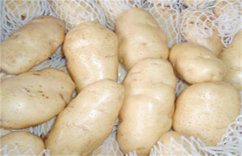 土豆常见的种类与图片介绍 土豆种类名称大全图片