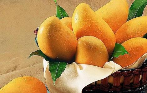芒果不能和什么一起吃 芒果