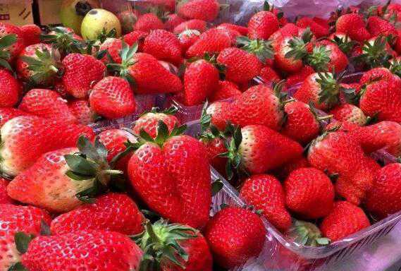 每天吃草莓的最佳时间 吃草莓怎么吃好
