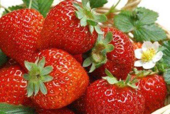 哪些人不宜吃草莓 吃草莓的禁忌有哪些