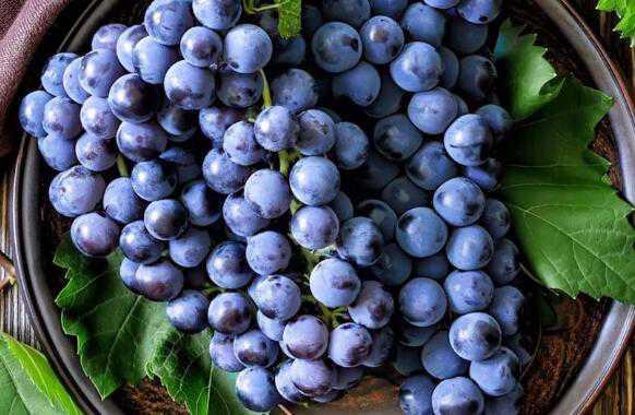 吃葡萄的好处和坏处 吃葡萄有什么好处