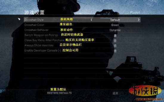 《反恐精英：全球攻势》PC版游戏菜单翻译截图