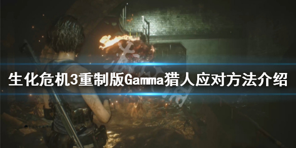 生化危机3重制版Gamma猎人怎么打（生化危机3重制版猎杀者）