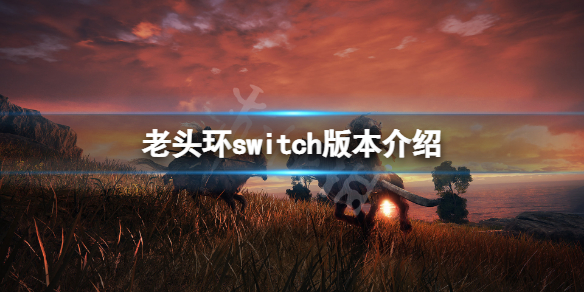 艾尔登法环switch能玩吗（艾尔登法环ps4能玩吗）