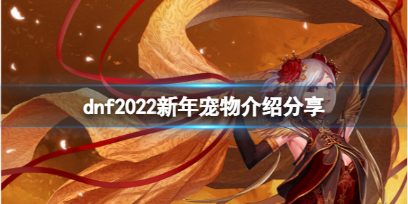 dnf2022新年宠物厉害吗 2022新年宠物介绍分享