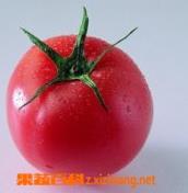 番茄种子的种植和管理 番茄种子的种植和管理方法