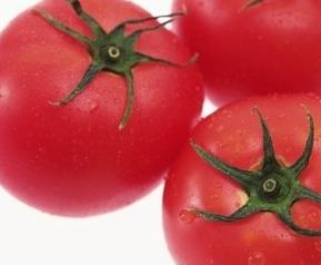 西红柿能够生吃吗（西红柿可以生吃吗）
