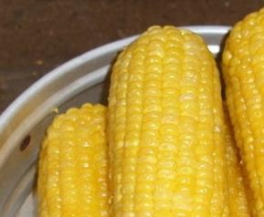 玉米营养成份和玉米减肥的方法 玉米的与作用减肥