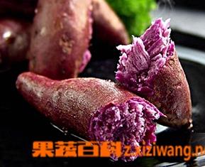 紫薯的营养价值（紫薯的营养价值及功效与作用小孩吃）