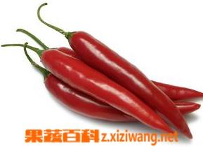 酸辣椒的腌制方法 贵州酸辣椒的腌制方法