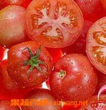 西红柿的营养价值（西红柿的营养价值及特点）