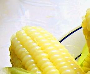 玉米粘虫防治技巧 玉米粘虫防治技巧和方法