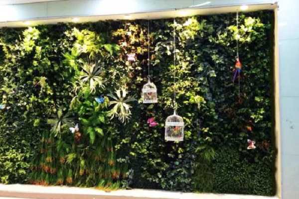 植物墙多少一平方 植物墙常用植物有哪些