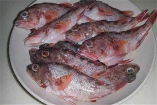 石狗公鱼多少钱一斤