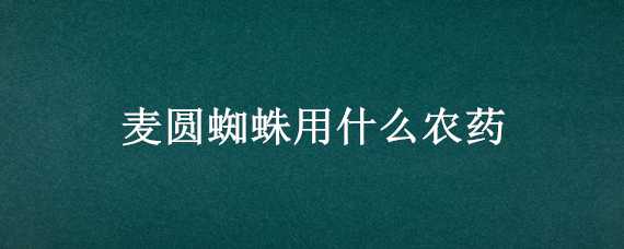 麦圆蜘蛛用什么农药