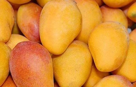 芒果的营养价值 芒果的营养价值及禁忌