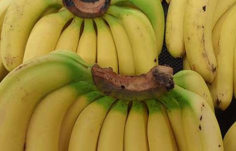 香蕉皮的功效和作用 香蕉皮的功效与作用点